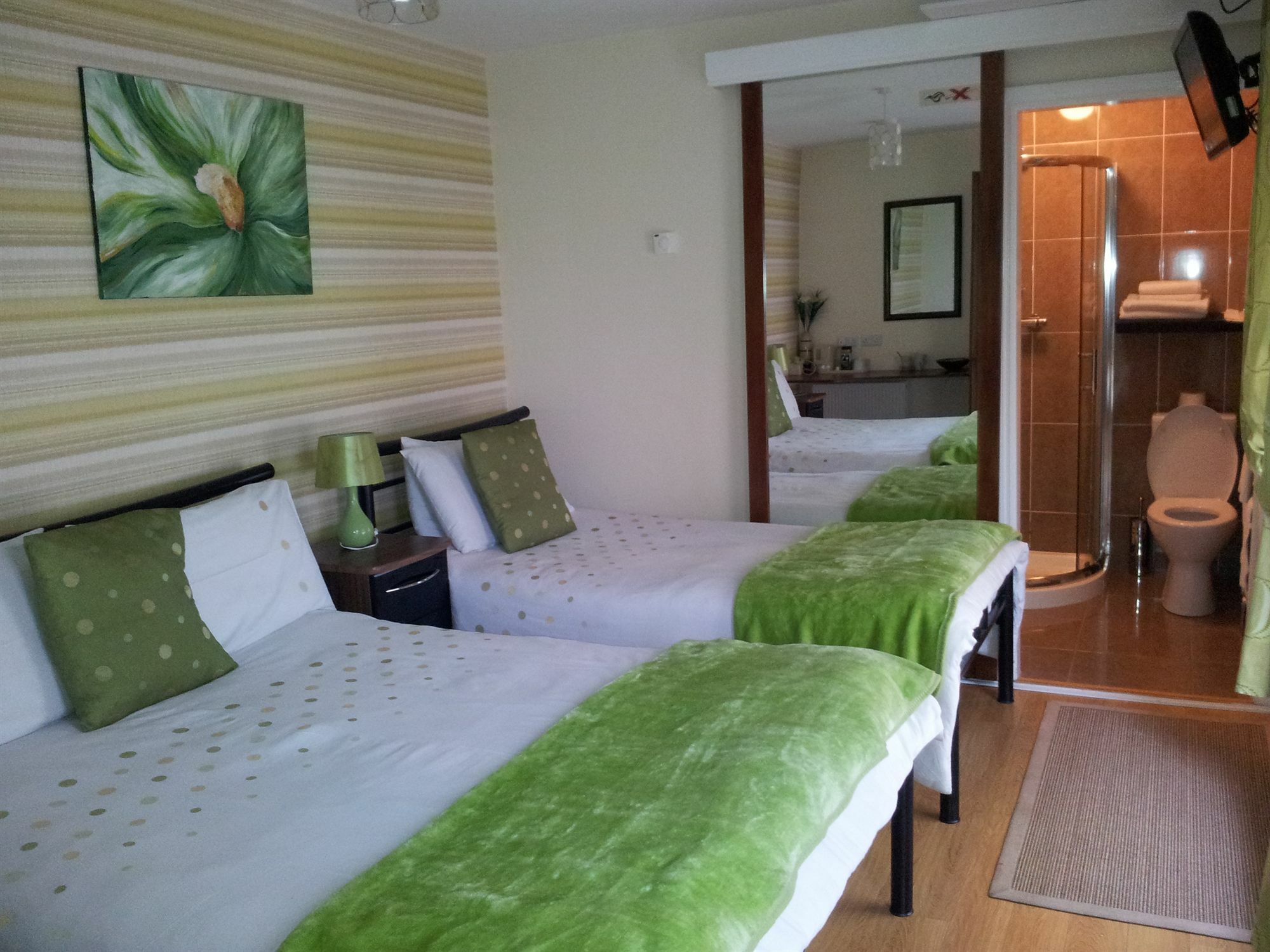 Rose Park House Bed & Breakfast Londonderry Eksteriør bilde
